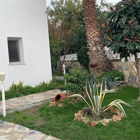 Canna Garden - Adult Only Gümbet