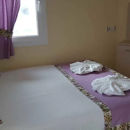 Canna Garden - Adult Only