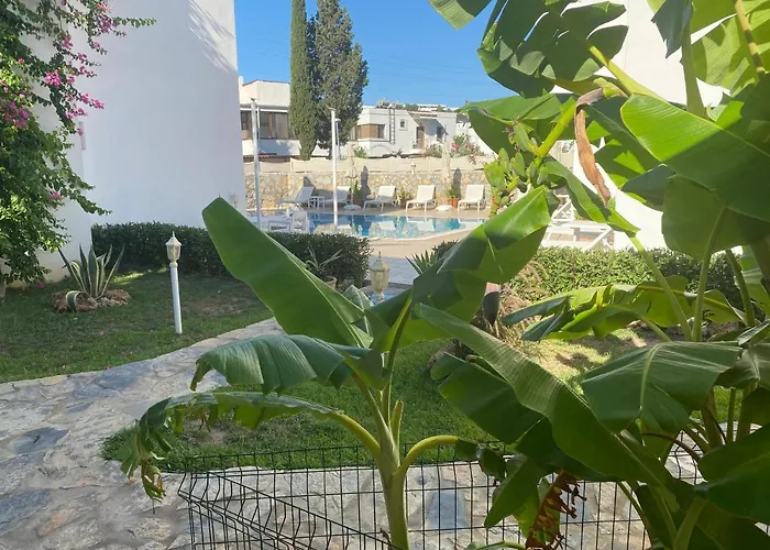 Canna Garden - Adult Only